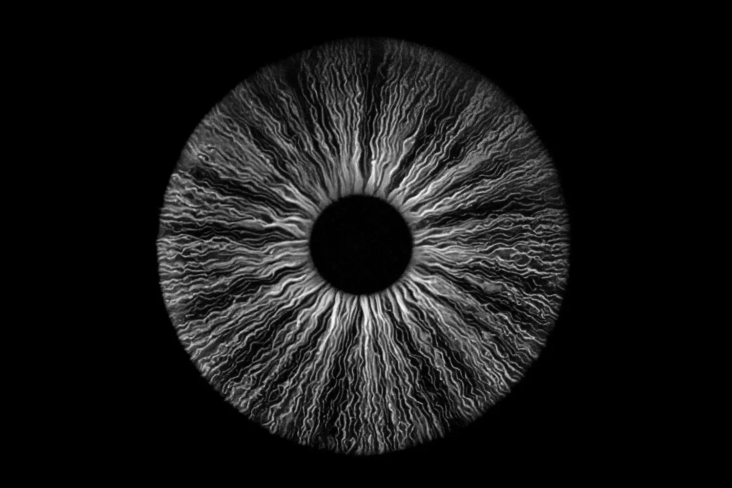 Iris Fotografie // Met een Iris fotoshoot laat je de kleurrijke en unieke structuur van de iris van het oog zien. De iris is voor ieder persoon uniek en is een mooi en waardevol kunstwerk voor aan de muur.